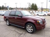 2009 Ford Expedition Limited 4x4 Front 3/4 View