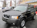 2003 Black Clearcoat Ford Escape XLT V6 4WD #46456147