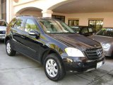 2006 Obsidian Black Metallic Mercedes-Benz ML 350 4Matic #4616722