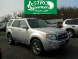 2008 Silver Metallic Ford Escape Limited 4WD #46456171