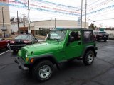 2004 Electric Lime Green Pearl Jeep Wrangler X 4x4 #46499959