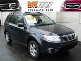 2010 Dark Gray Metallic Subaru Forester 2.5 X Premium #46499973