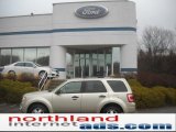 2010 Gold Leaf Metallic Ford Escape XLT 4WD #46545513