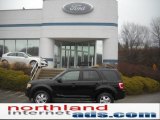 2010 Black Ford Escape XLT 4WD #46545514