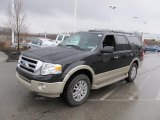 Tuxedo Black Ford Expedition in 2010