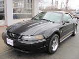 2003 Black Ford Mustang V6 Convertible #46546321