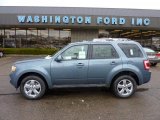 2011 Steel Blue Metallic Ford Escape Limited V6 4WD #46545924