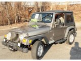 2003 Light Khaki Metallic Jeep Wrangler Sport 4x4 #46630916