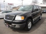 2003 Black Clearcoat Ford Expedition XLT 4x4 #46653946