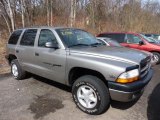 2000 Bright Platinum Metallic Dodge Durango SLT 4x4 #46653971