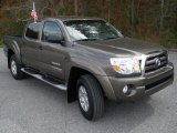 Pyrite Brown Mica Toyota Tacoma in 2009