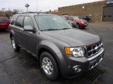 2011 Sterling Grey Metallic Ford Escape Limited V6 4WD #46697545