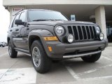 2006 Dark Khaki Pearl Jeep Liberty Renegade 4x4 #46750343