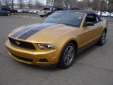 2010 Sunset Gold Metallic Ford Mustang V6 Premium Convertible #46750026