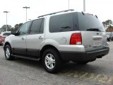 Silver Birch Metallic Ford Expedition in 2005