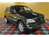 2001 Cypress Green Metallic Mercedes-Benz ML 430 4Matic #46750282