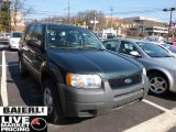 2003 Aspen Green Metallic Ford Escape XLS V6 #46775912