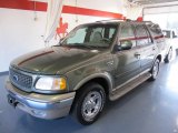 2000 Estate Green Metallic Ford Expedition Eddie Bauer #46775951