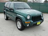 2004 Timberline Green Pearl Jeep Liberty Limited #46776595