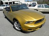 Sunset Gold Metallic Ford Mustang in 2010