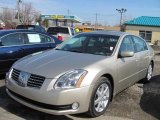 2004 Champagne Mist Metallic Nissan Maxima 3.5 SL #46777287