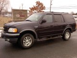 2001 Black Clearcoat Ford Expedition XLT 4x4 #46776677