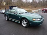 2002 Ford Mustang V6 Coupe