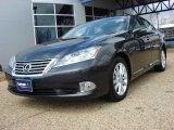 2010 Truffle Brown Mica Lexus ES 350 #46776159