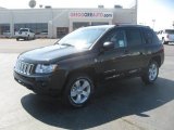 2011 Brilliant Black Crystal Pearl Jeep Compass 2.4 Limited 4x4 #46776733
