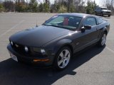 2007 Alloy Metallic Ford Mustang GT Premium Coupe #46777082