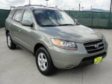 2007 Natural Khaki Green Hyundai Santa Fe GLS #46869665