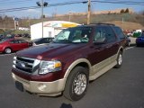 2010 Ford Expedition Eddie Bauer 4x4 Front 3/4 View