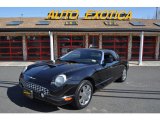 2002 Ford Thunderbird Premium Roadster