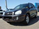 2006 Steel Blue Hyundai Santa Fe GLS #46936693