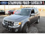 2010 Sterling Grey Metallic Ford Escape Limited V6 4WD #46957500