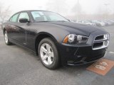 Blackberry Pearl Dodge Charger in 2011