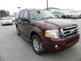 2010 Royal Red Metallic Ford Expedition XLT #46966874