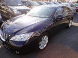 2007 Black Sapphire Pearl Lexus ES 350 #47006088