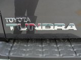 2011 Toyota Tundra TSS CrewMax Marks and Logos