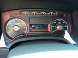 2010 Ford F150 Harley-Davidson SuperCrew Gauges