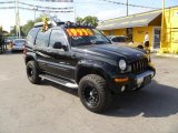 2003 Black Clearcoat Jeep Liberty Renegade 4x4 #47058050