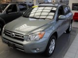 2006 Everglade Metallic Toyota RAV4 Limited #47057953