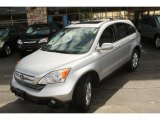 2009 Alabaster Silver Metallic Honda CR-V EX-L 4WD #47112739