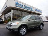 2009 Honda CR-V EX-L 4WD