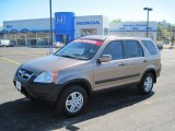 2002 Mojave Mist Metallic Honda CR-V EX 4WD #47113067