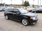 2010 Ford Flex SEL EcoBoost AWD Front 3/4 View