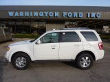 2010 White Suede Ford Escape Limited V6 4WD #47157557