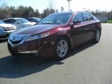 2009 Basque Red Pearl Acura TL 3.5 #47157767