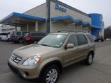 2005 Honda CR-V Special Edition 4WD