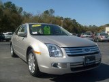 2007 Silver Birch Metallic Ford Fusion SEL #4689281